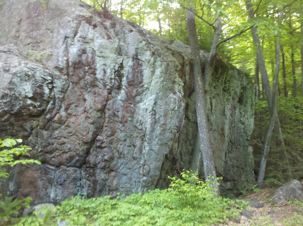 Finger Rock Road Trail, West Hartford/Farmington, CT May 26 2011 by Arkie_in_CT