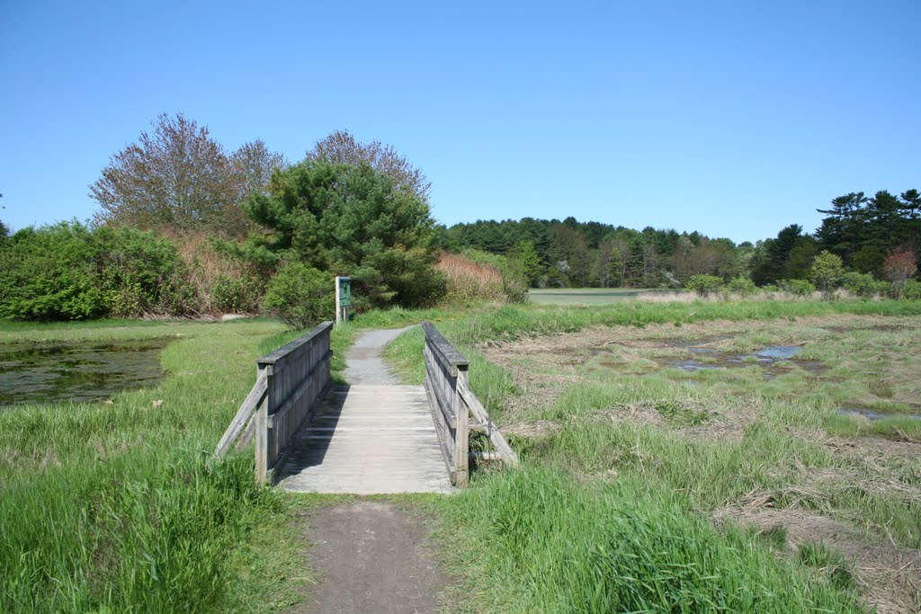 Fore river sanctuary trail by m005k