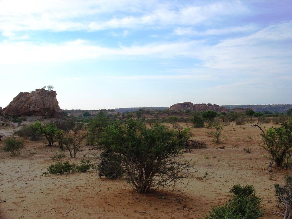 La Reserva de Tuli, Botswana by Juan C. Becerra