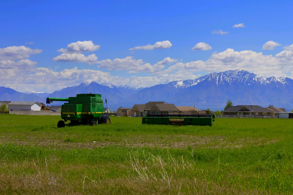 Spring Farm Field by TheShot