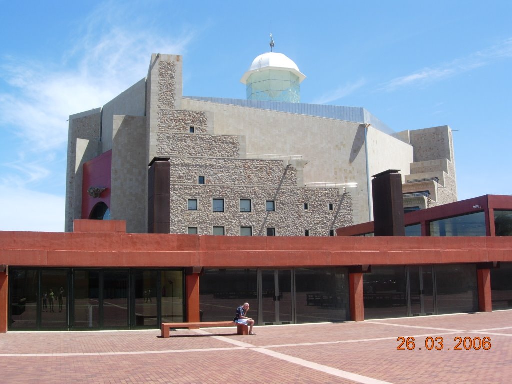 Auditorium "Alfredo Kraus" (lateral) by Javier Tabraue