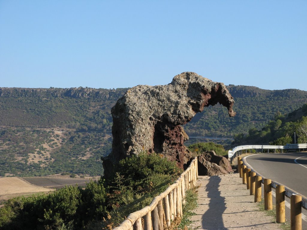 La Roccia Dell'elefante ripresa da nord by Franco Cossa