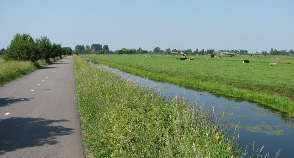 Polder tussen Bergambacht en Schoonouwen by Piet Guijt