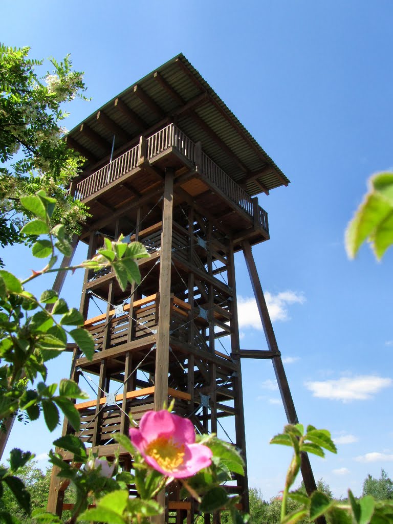 Aussichtsturm, Klobikauer Höhe by Ballgott