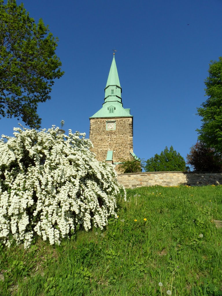 Kirche Altleubnitz 3 by kampfkatze1979