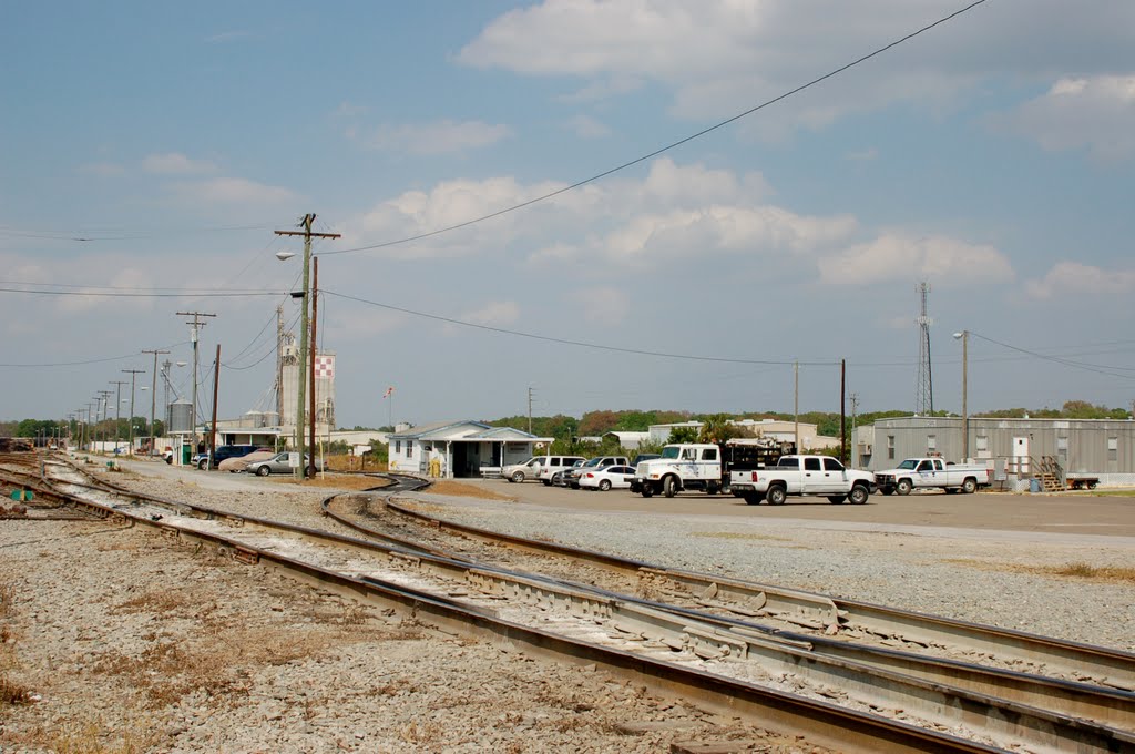 CSX Transportation Facilities at Mulberry, FL by Scotch Canadian