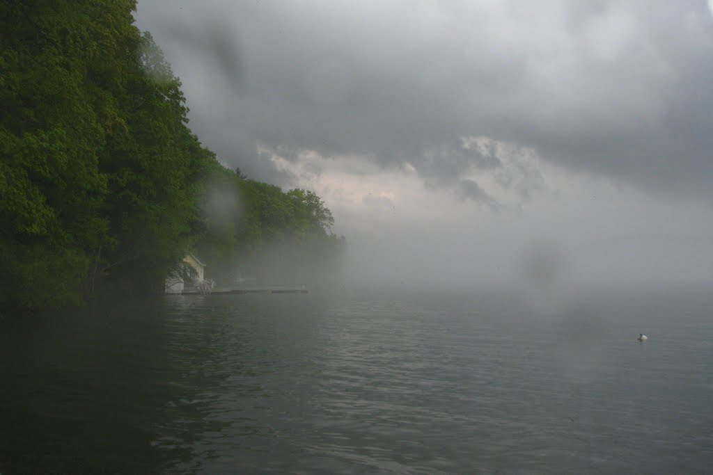 Boat House In The Mist by davehermon