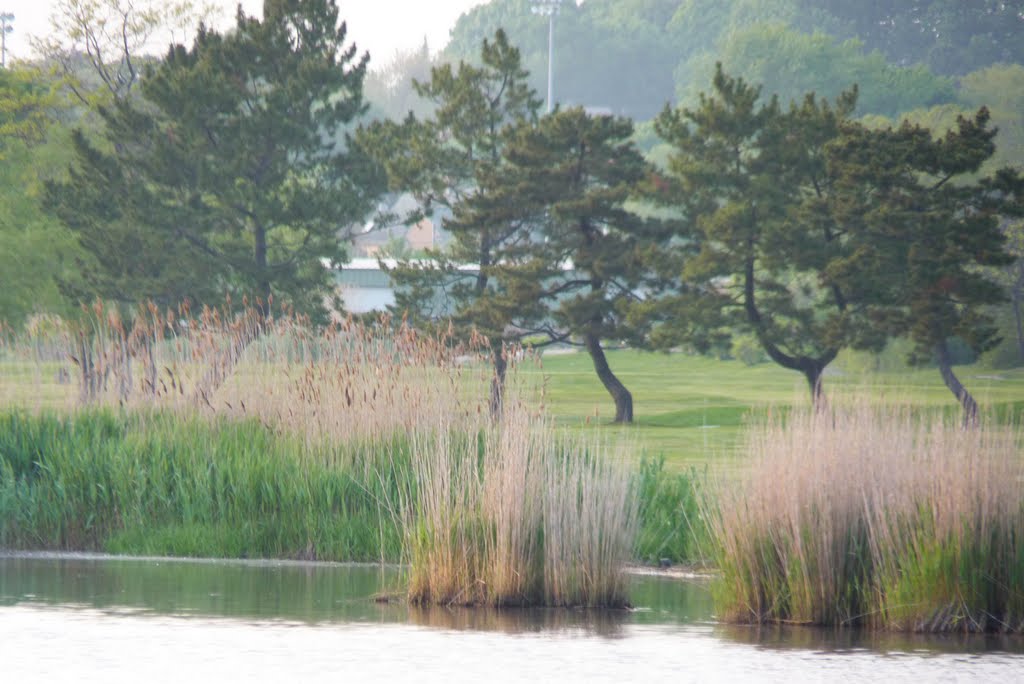 Winthrop Golf Course from Lewis Lake Park by Steven James