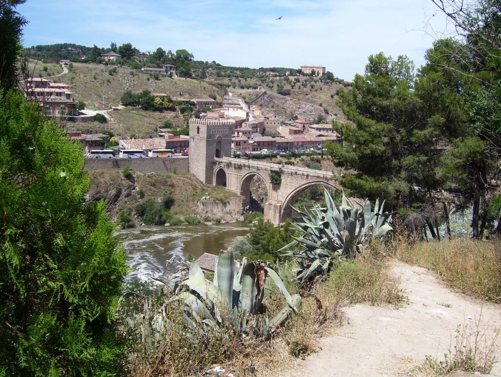 Saint Martin Bridge Toledo,Spain by Manuel Santiago