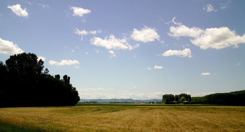 La collina bolognese 5 km a sud di Minerbio by Cesare de' Sgargi