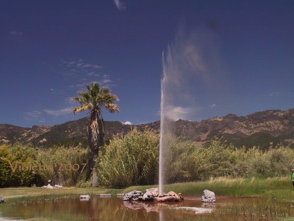 Calistoga's Old Faithful by vetaAL