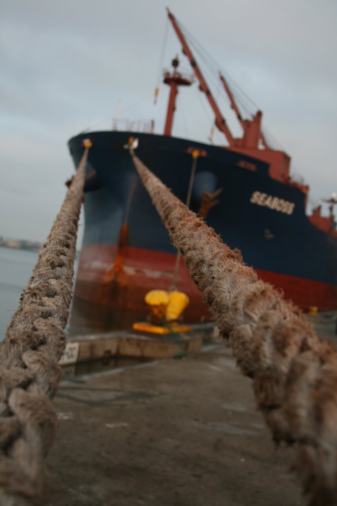 Container Ship San Diego Harbor by Daniel Teeter