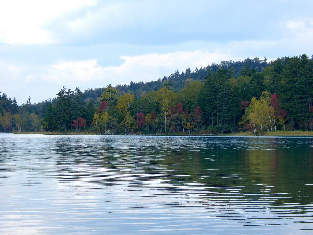 Autumn leaves - Lake Onnetoh by gloria1554