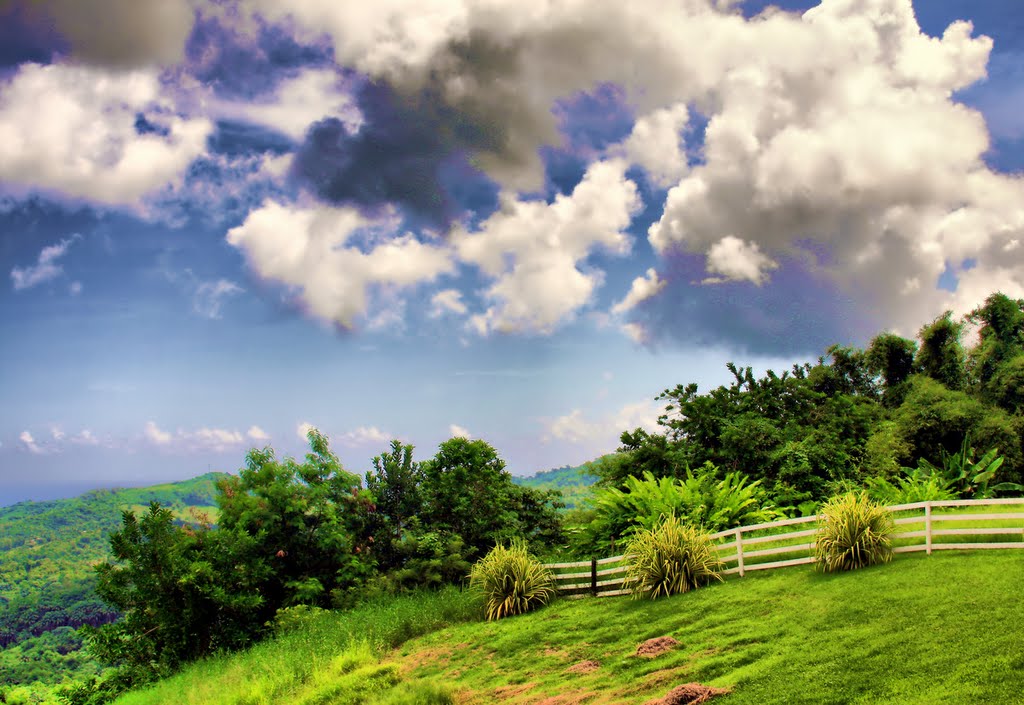 In Bissex Hill, Barbados by aleksolo