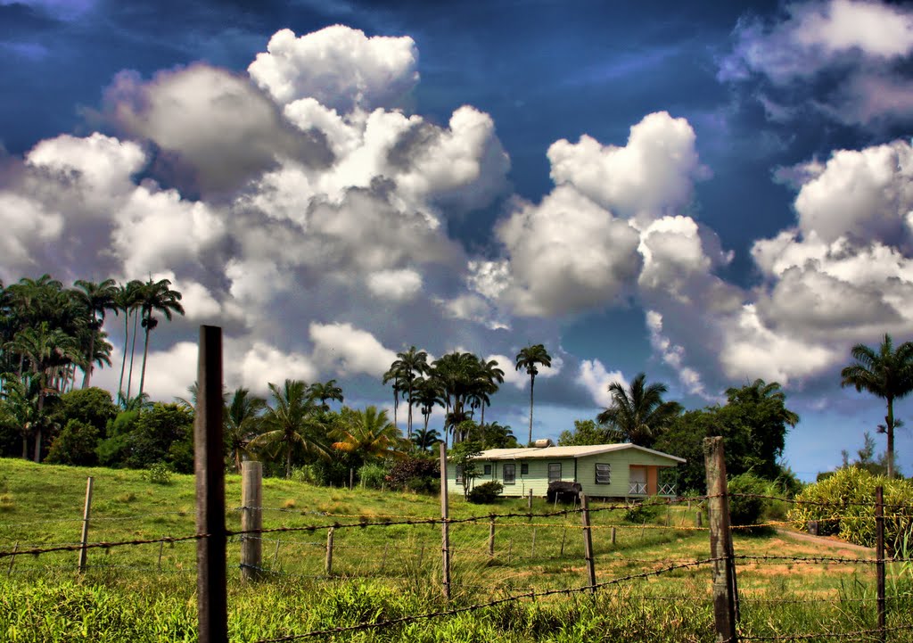 In Bissex Hill, Barbados by aleksolo