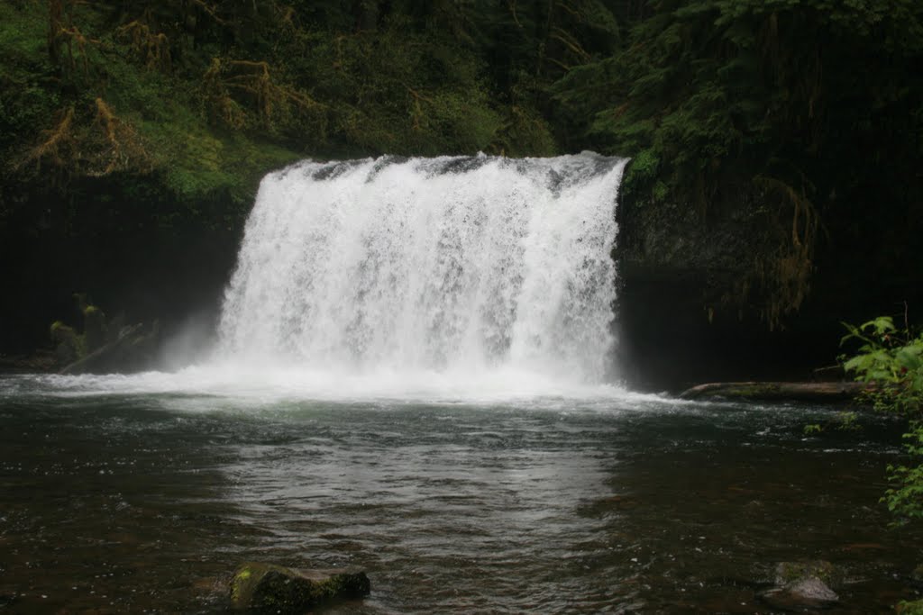 Upper Butte Creek Falls by Horner69