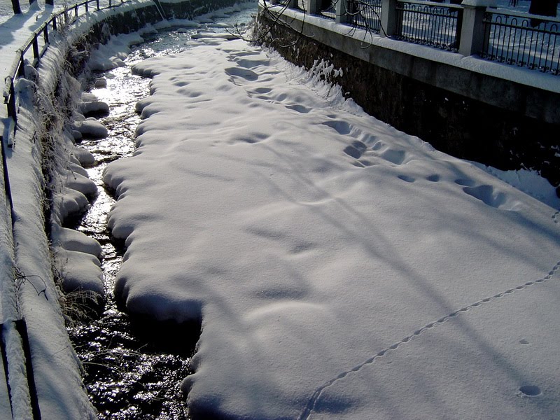 City river in winter by Marcel Vírus