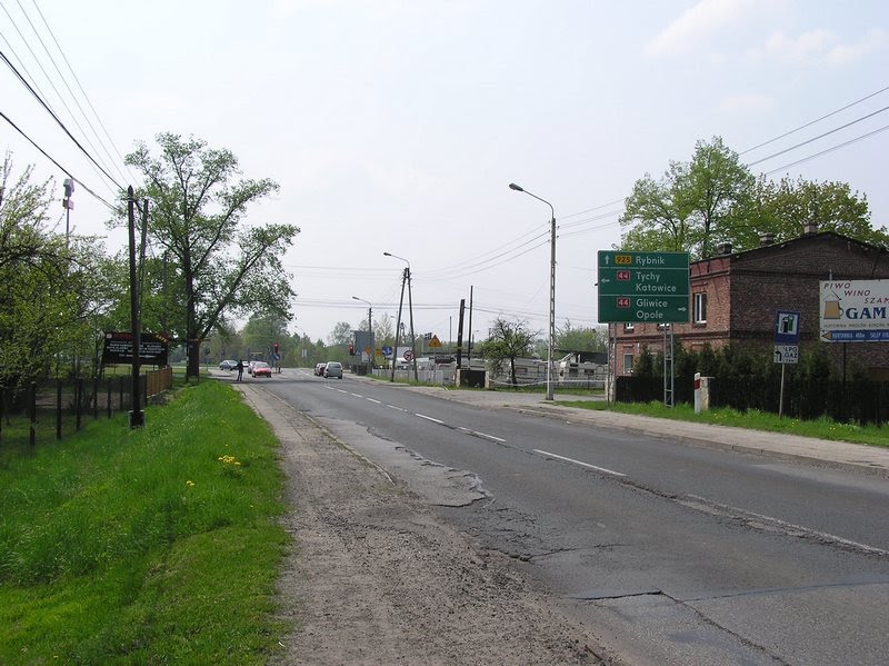 Mikołów, ul. Oświecimska by bird watcher