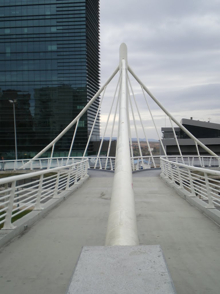 Pasarela Peatonal Guadalajara by PEDROJGS