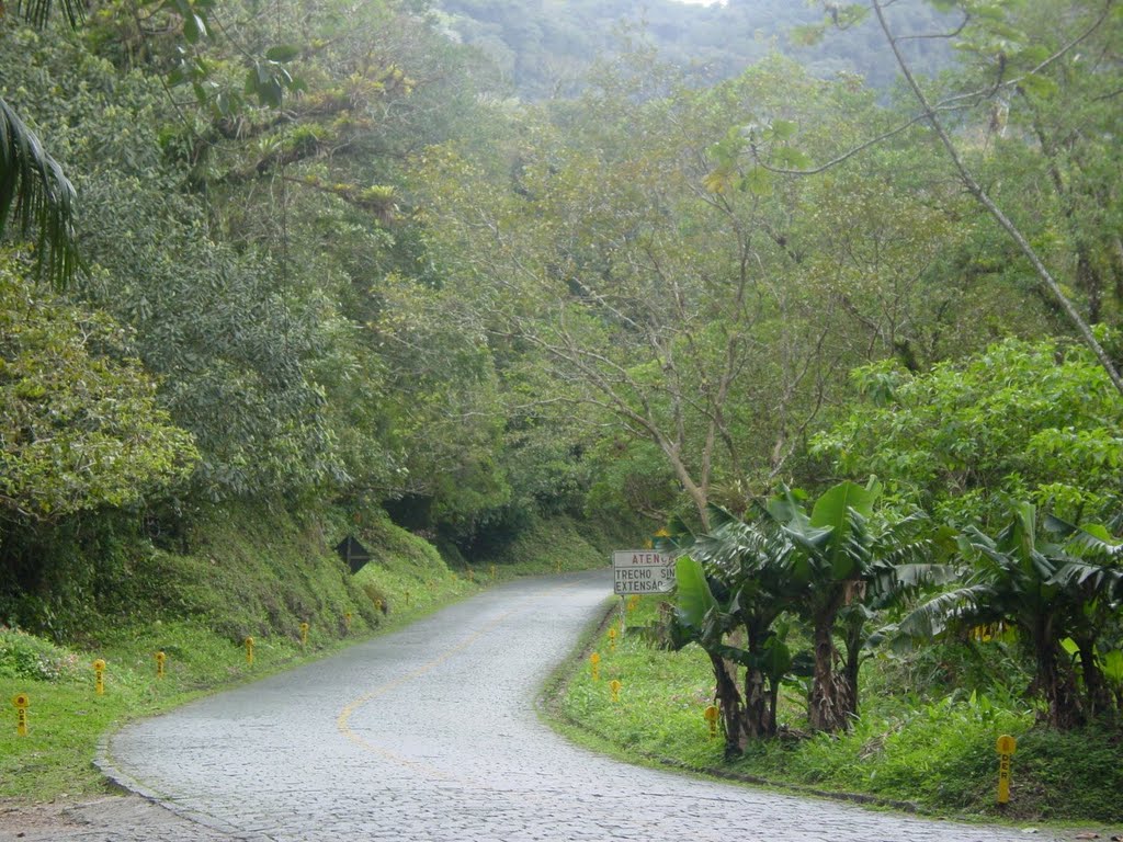 Estrada da Graciosa by Wagner Luiz Kravetz