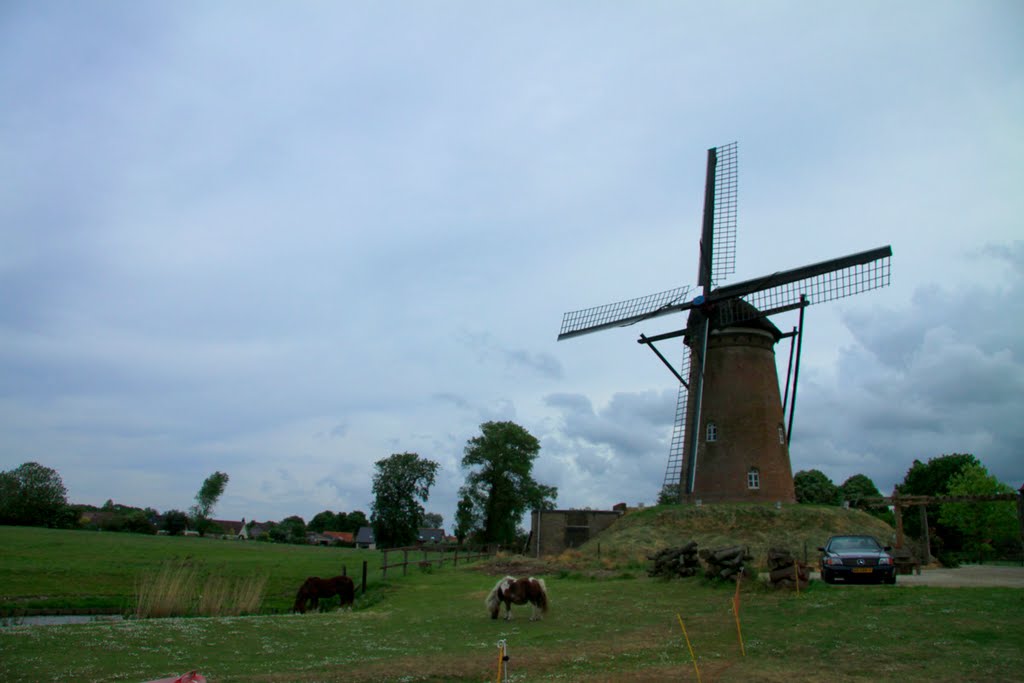 Hulster Molen in Schoondijke. Een Beltmolen. by watersnip