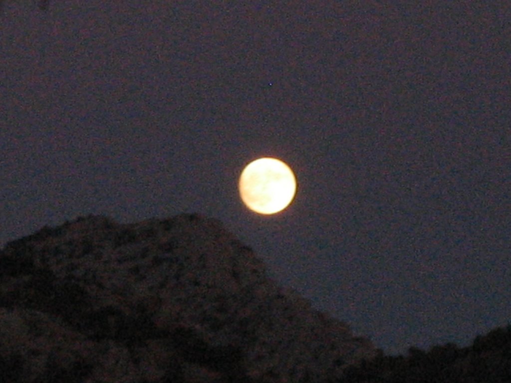 Luna en Sto.Domingo de Silos by Joan Alemany Rius