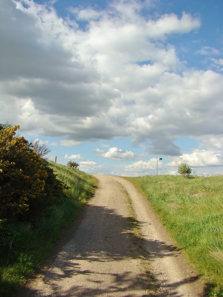 Footpath looking due north at Tinsley Park Nature Reserve, Sheffield S9 by sixxsix