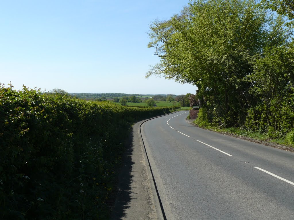 Formby Lane, Aughton by Denis O'Brien