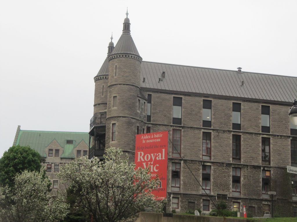 Castle Turrets And Blossoms In Downtown Montreal May '11 by David Cure-Hryciuk