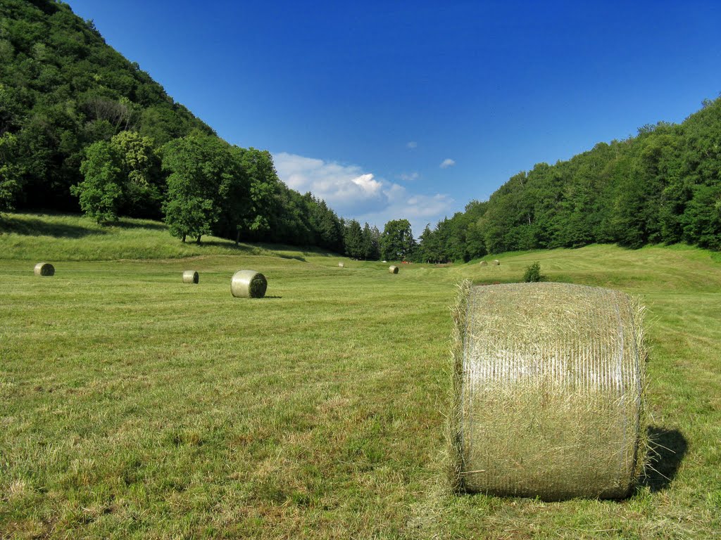 Prato in val Bova by groppi valter