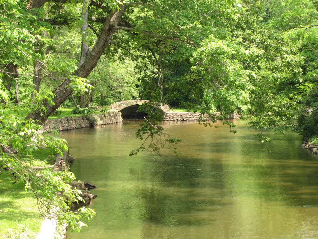 South Branch of the Raritan Upstream from Middle Valley Trestle by Chris Sanfino