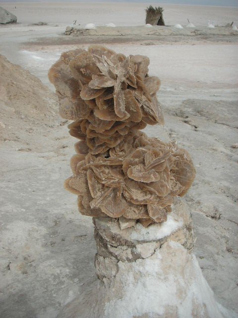 ROSA DEL DESIERTO.-MATMATA.-(TUNISIA) by garo