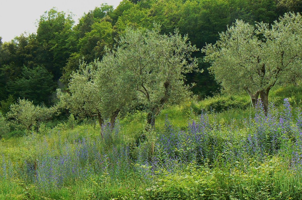 Summer in Monti Ernici by Eva Kjaernes