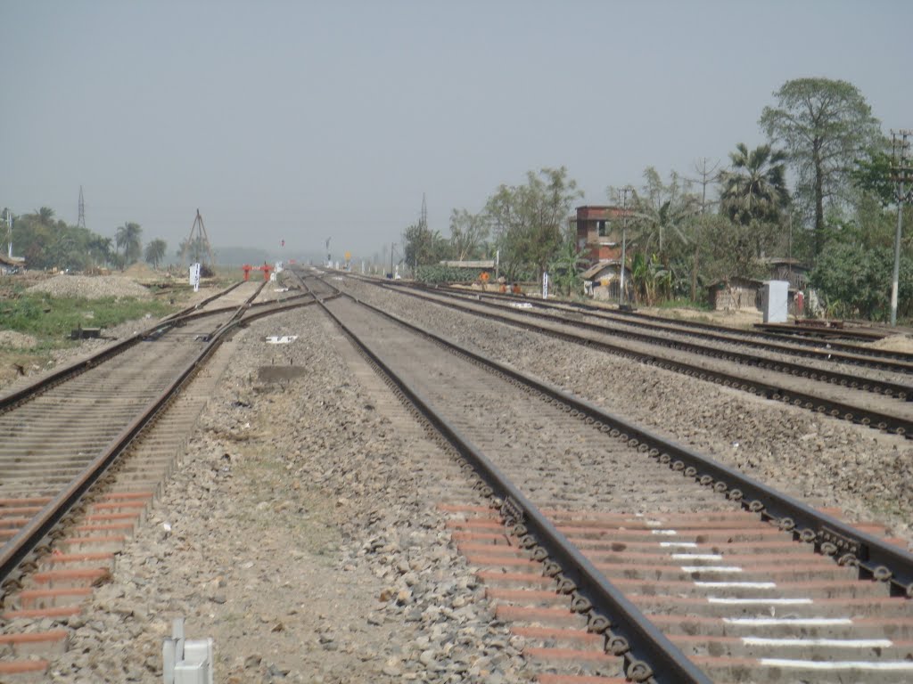 Rly Tracks at the Level-Crossing, Dalkhola by sban1998