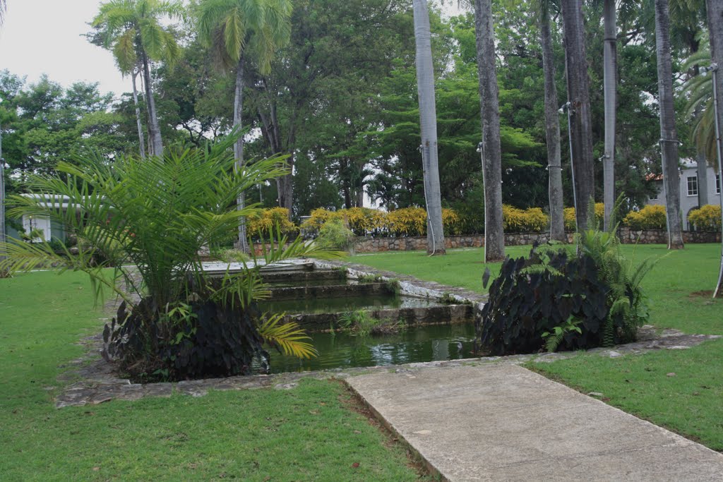 Jardines de las Novias-Mayaguez by Ricardo David Jusino