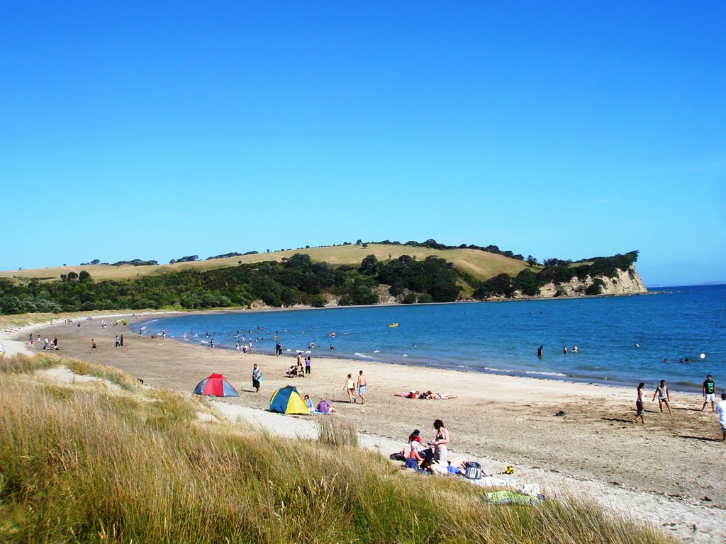 Te Haruhi Bay, Shakespear Park by alex.singan