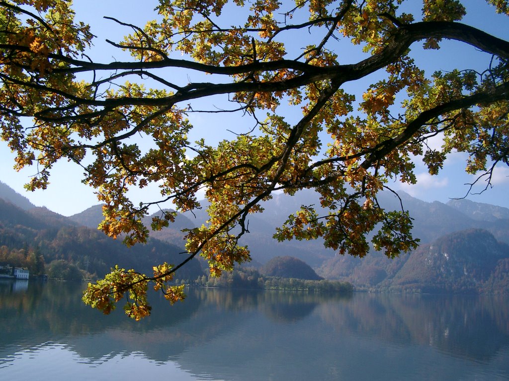 Kochelsee in autum by dorothee