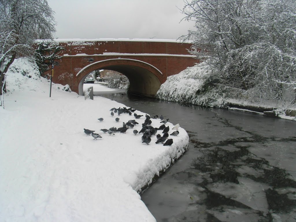 Grand Union Canal at Alperton by stvsms