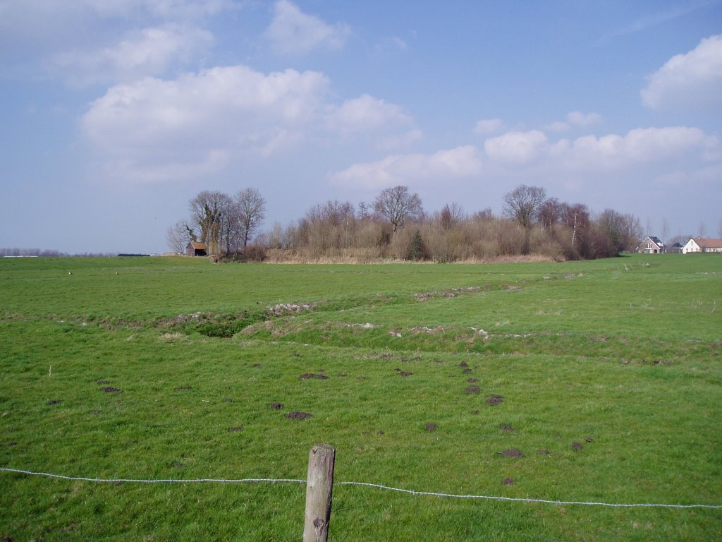 Eendekooi Schokman Vijfhuizen by wiepoes