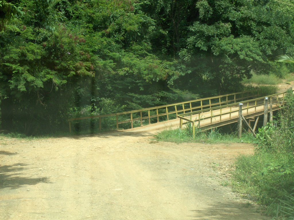 Puente de guerra casero by walter nuñez