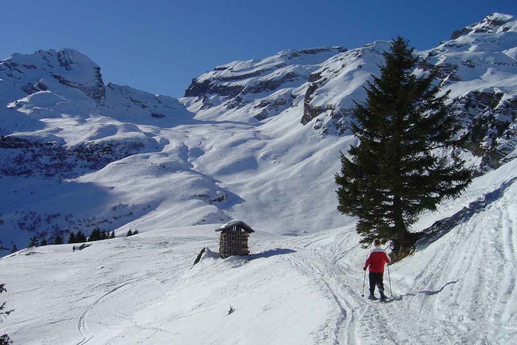 Winter Altsäss, Sevelen by spitzwerner