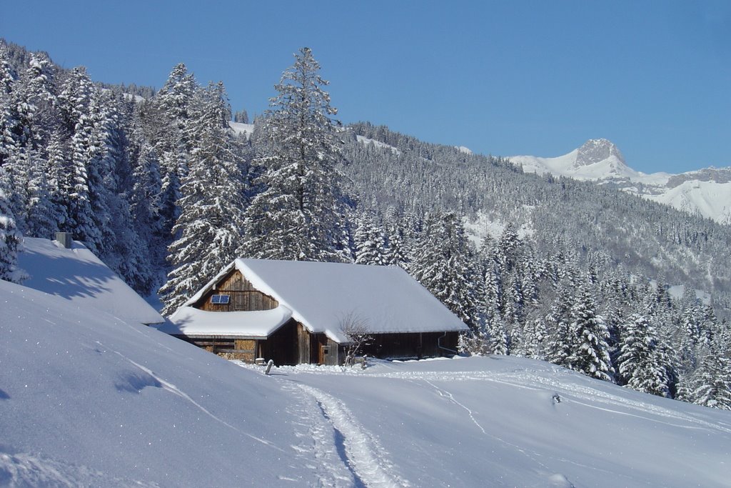 Winter Alp Legi, Sevelerberg by spitzwerner