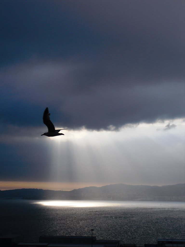 Volando al Cielo por la Ría de Vigo. España. by amadeus2050