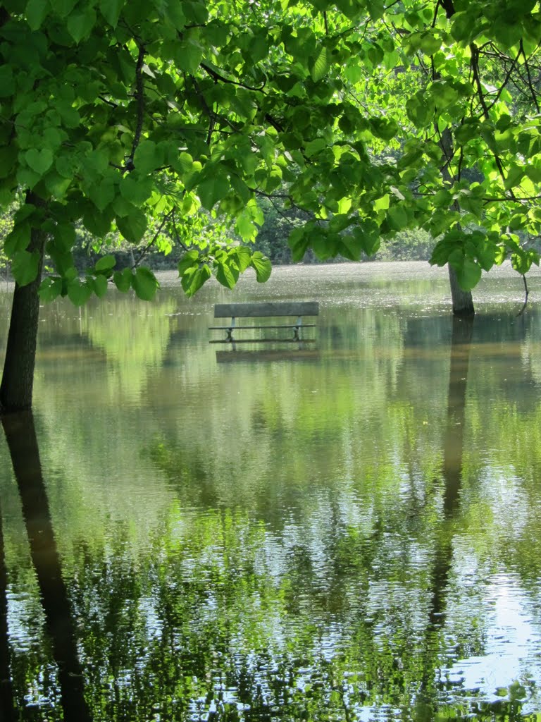 A bench in water during the flood overflow in Lower Huron Metropark by UnagiUnagi