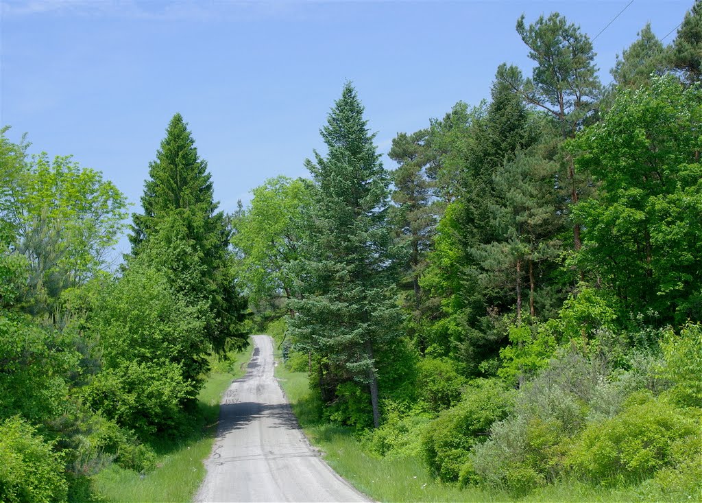 Myers Road by tdistefano