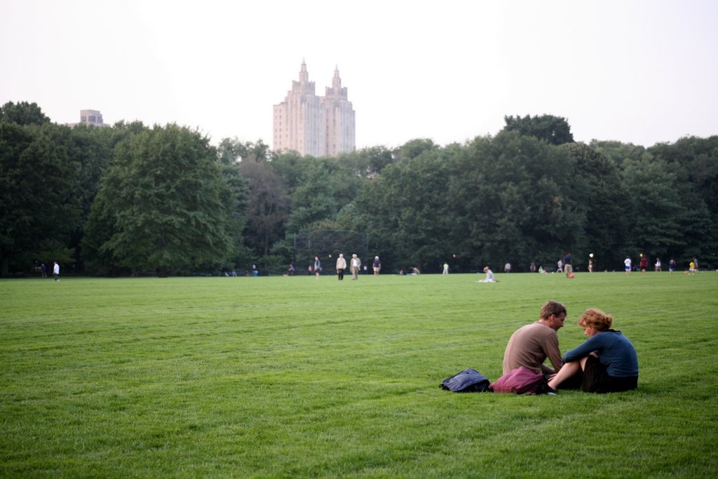 The Great Lawn, Central Park, New York, USA by Hans Sterkendries