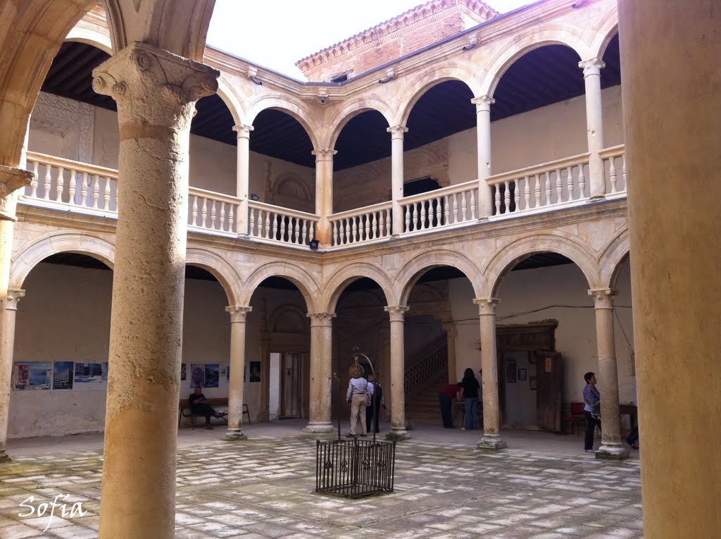 Patio del Palacio de Grajal. by Raitana