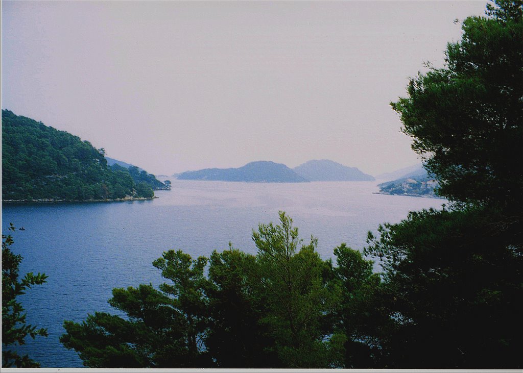 Polace Inlet, Mljet by Nick Gent