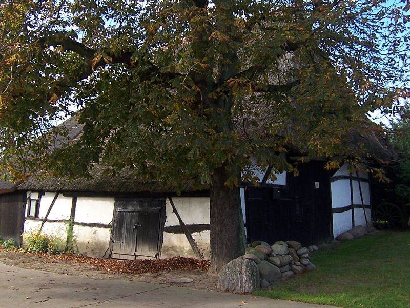 Alter Katen in Börgerende by chpagenkopf