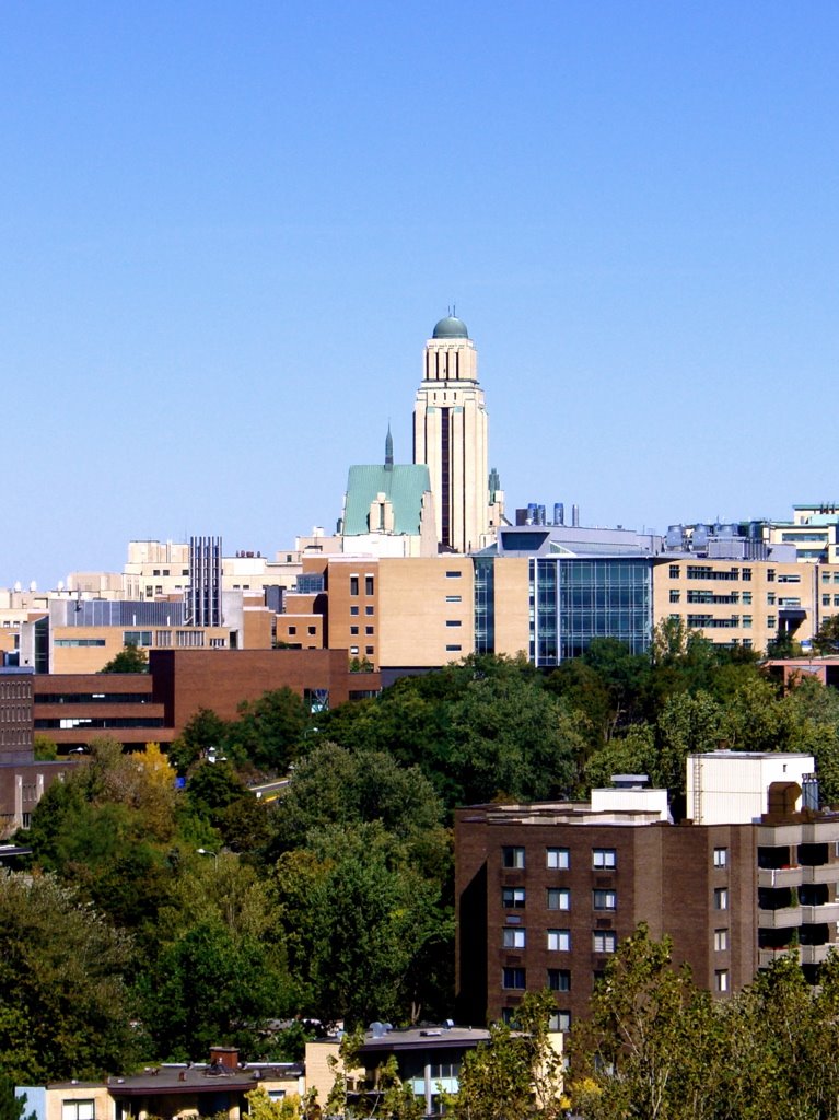 Université de Montréal vue de l'Oratoire St Joseph by infausto